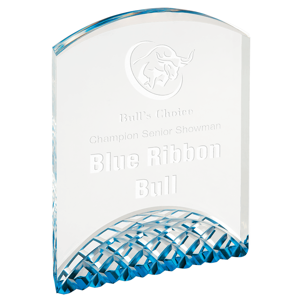 7" Blue Horizon Acrylic Award