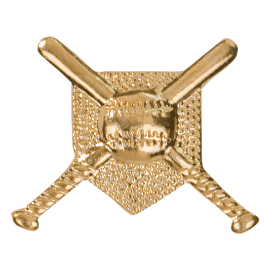 Gold Crossed Bats Metal Chenille Letter Insignia
