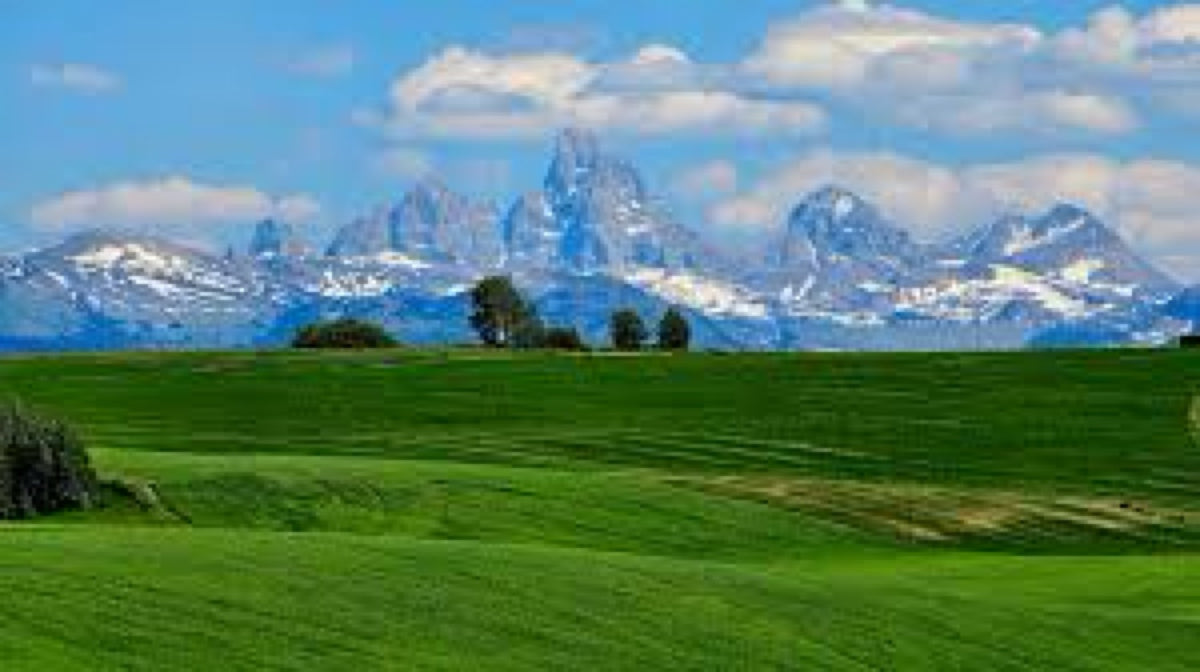 Swan Valley meadow and the Teton Range