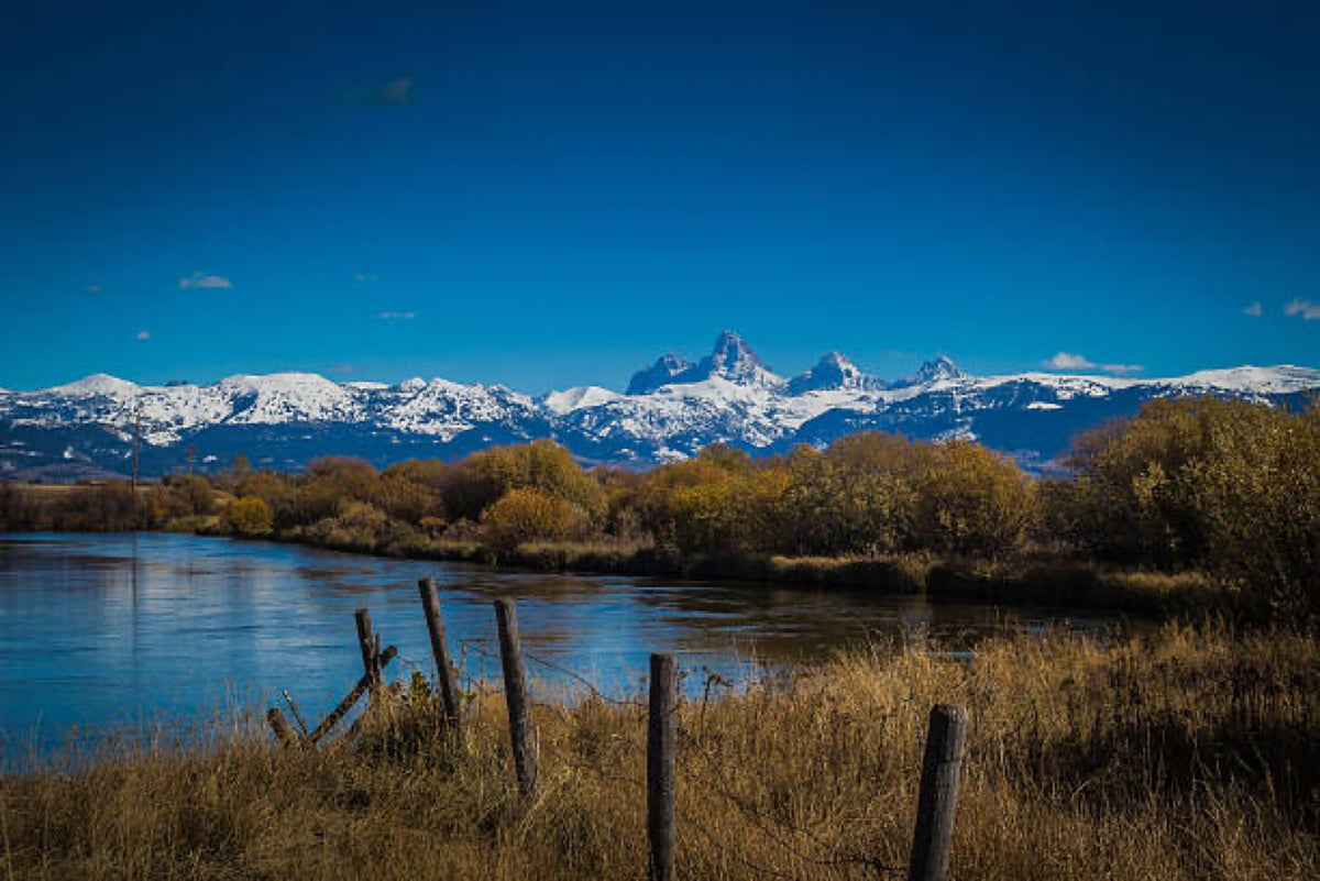 Rail fence along the river with the Tetons beyond