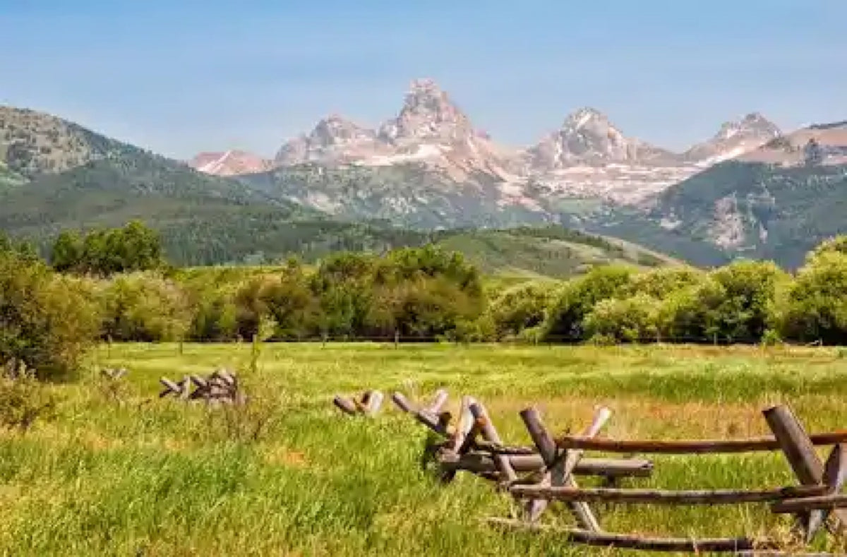 Buck-rail fence across a green Swan Valley meadow