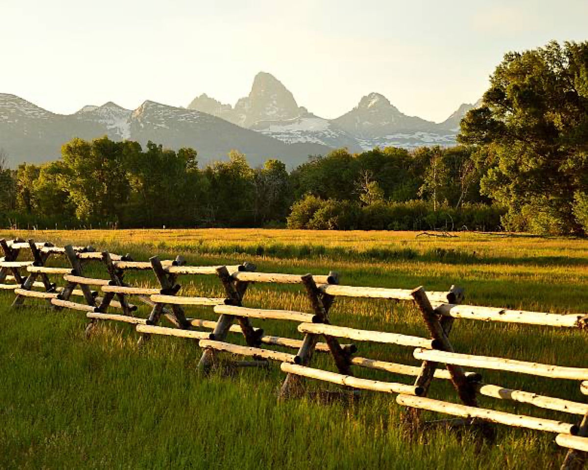 Buck-rail fence at golden hour in Swan Valley, Idaho